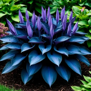 Хоста Сикрет Гров купить по цене от 570р. в интернет-магазине «Посадика» с доставкой почтой в в Лесосибирске и по всей России – [изображение №1].